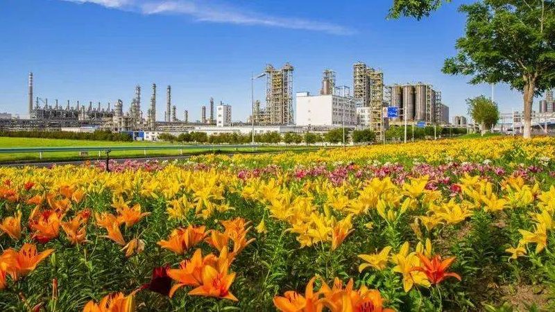 表面活性剂：揭秘其背后的奥秘与应用之道